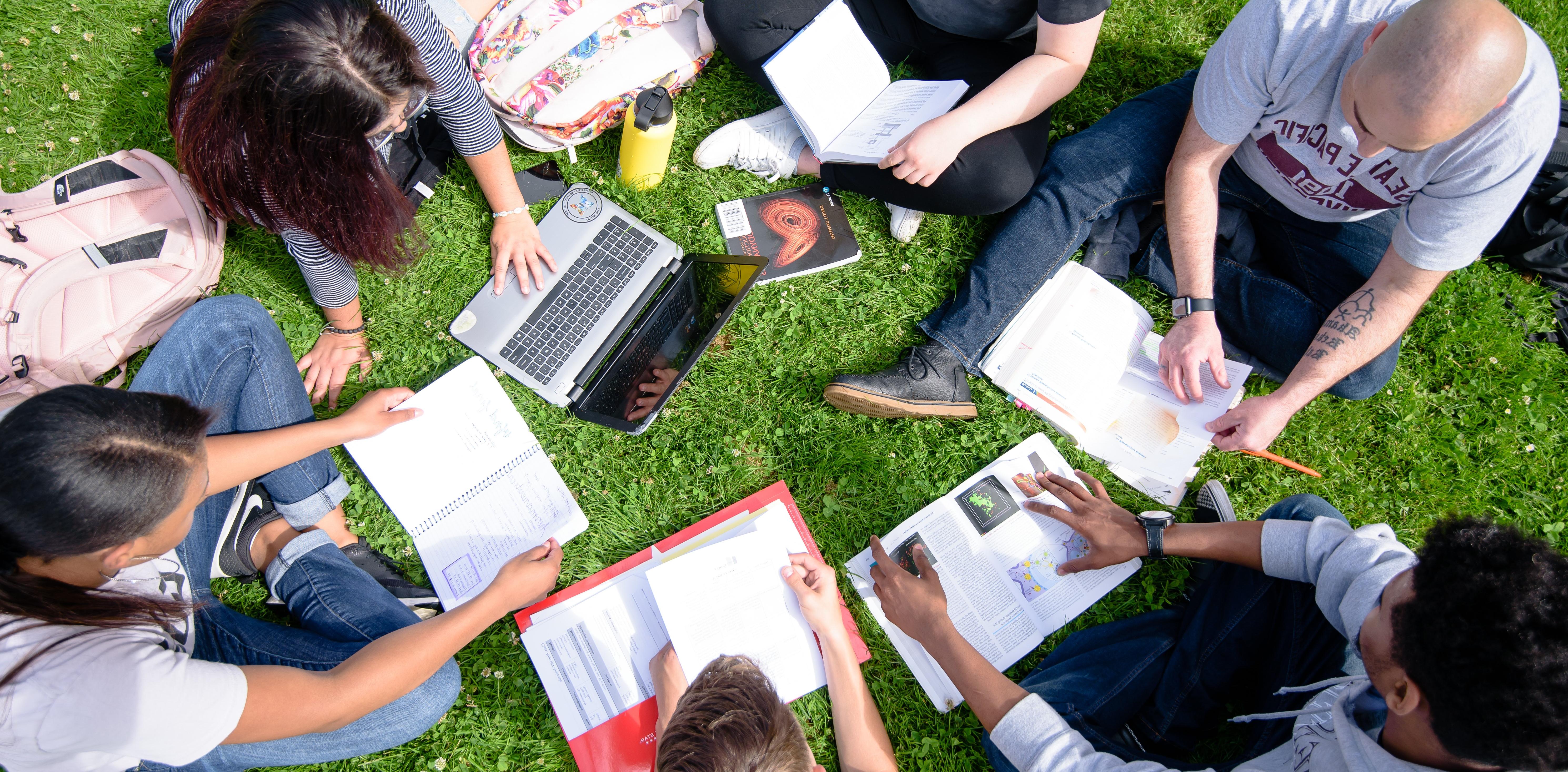 Six students studying in the grass.